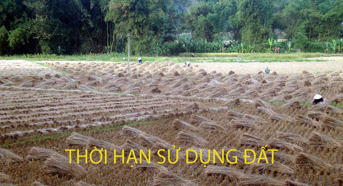 Thời hạn sử dụng đất