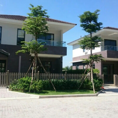 Biệt thự xây dựng theo phong cách Nhật Bản
