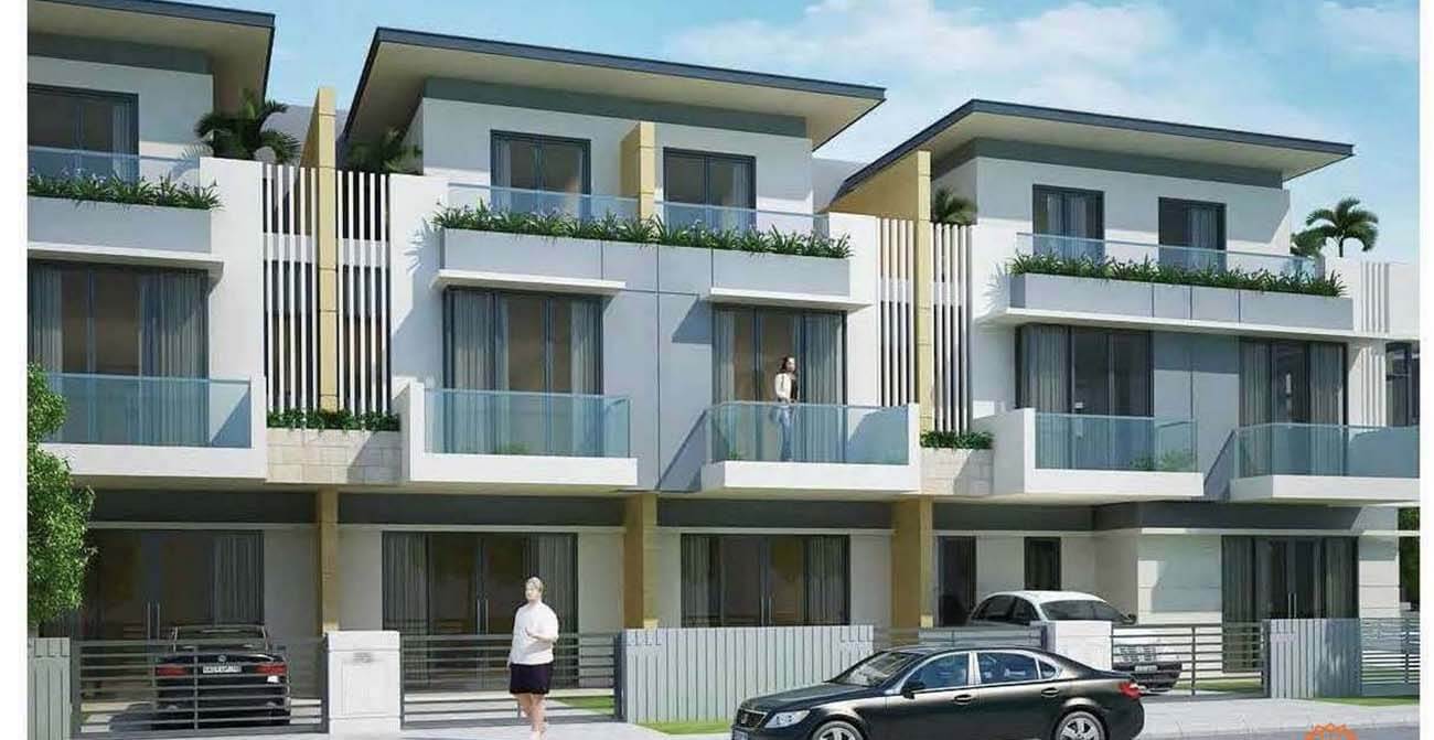 Thiết kế đơn giản sang trọng
