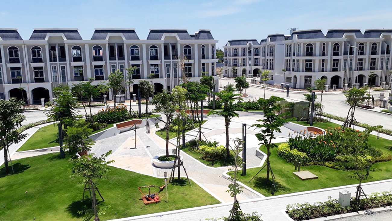Dự án Solar City lừa đảo có thật không?