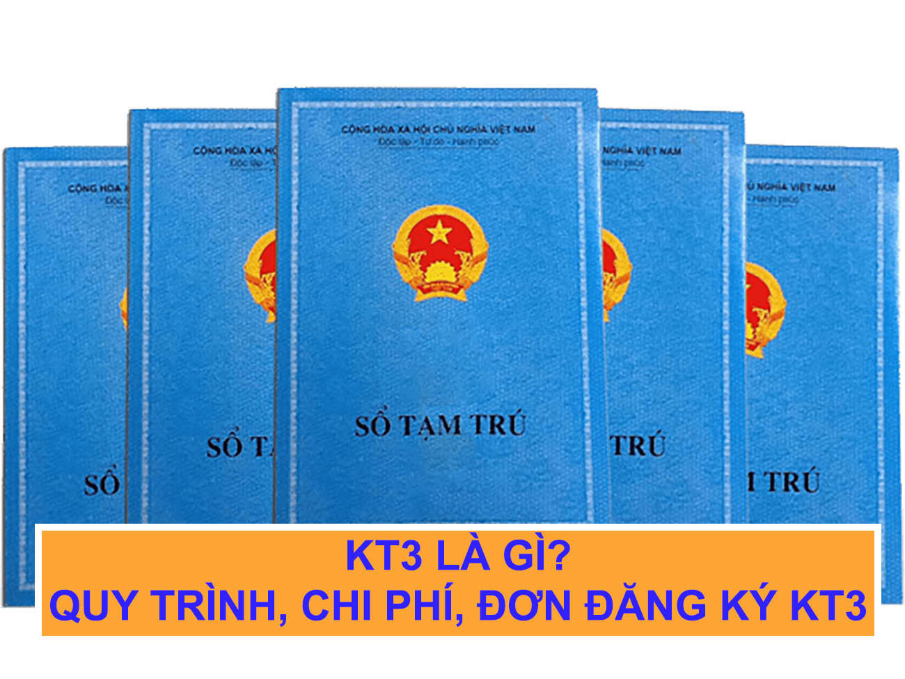 KT3 là gì?