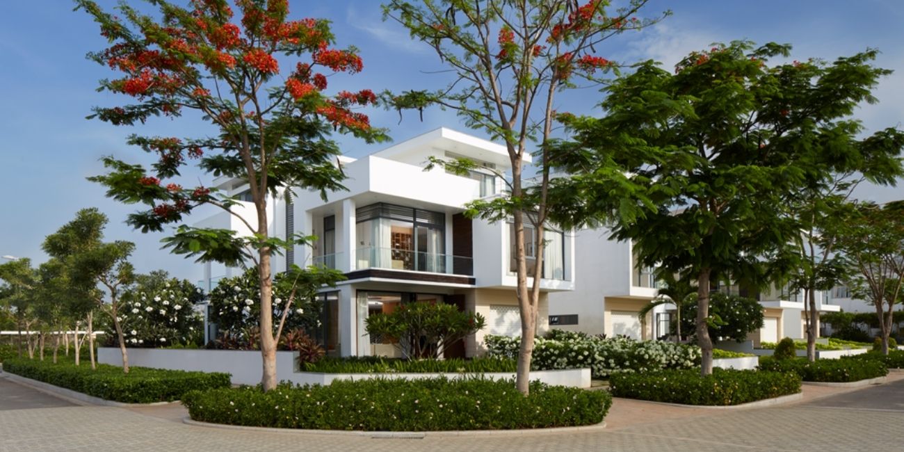 Tiềm năng phát triển của vị trí dự án Lucasta