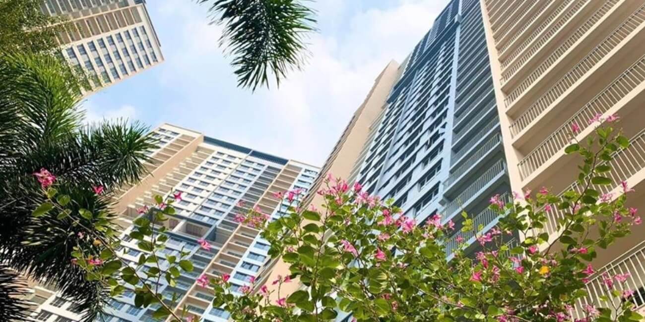 Dự án Palm Heights